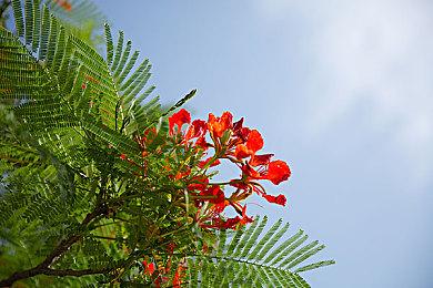 《时空勇者》重制版 在港服eshop推出试玩Demo